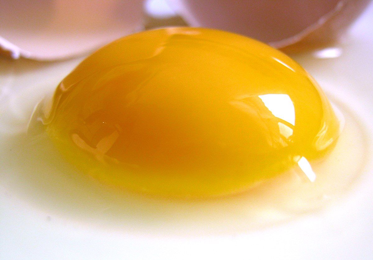 Egg, poultry, yolk, raw Image