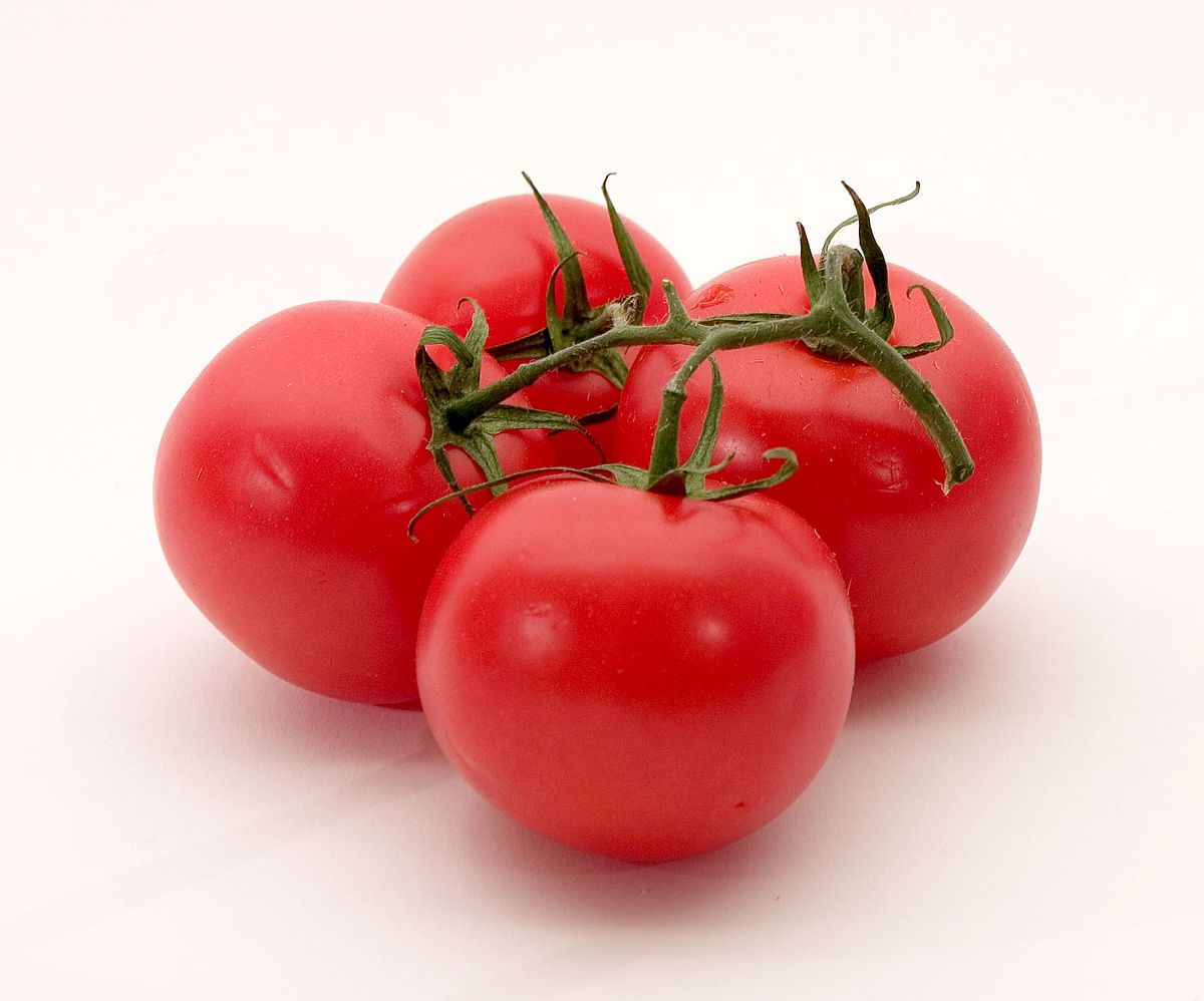 Tomato, ripe, local (Lycopersicon esculentum) Image