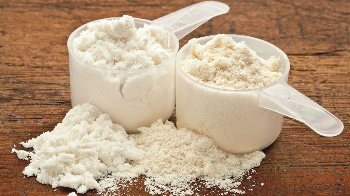 Cow Milk Whey Protein Concentrate Image