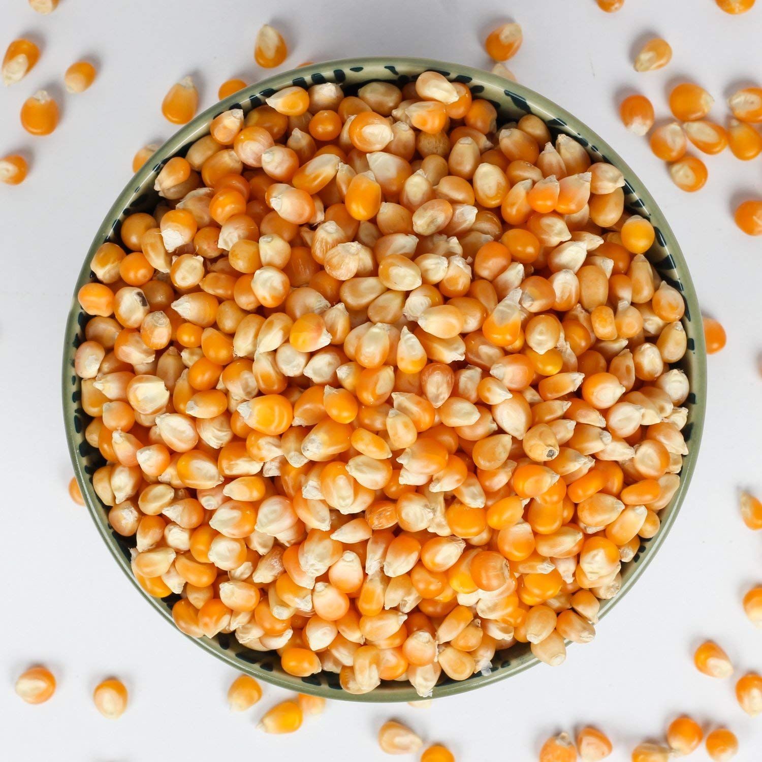 Maize, dry (Zea mays) Image