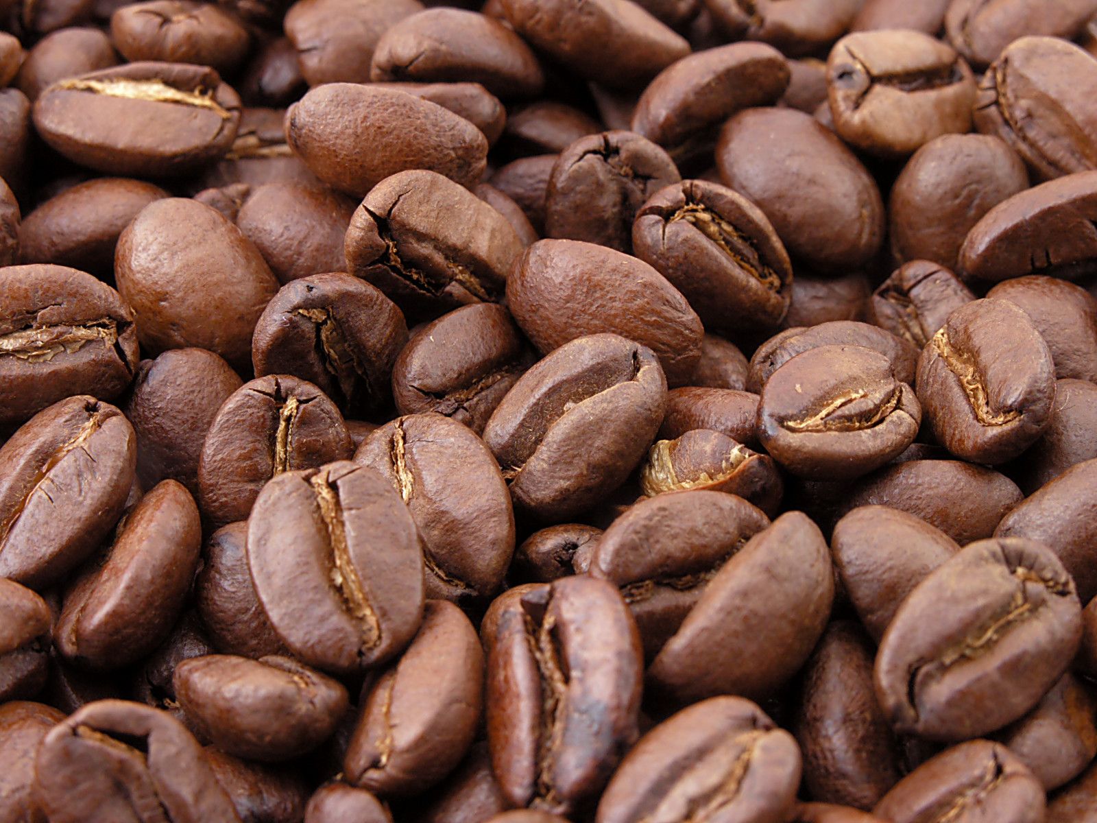 Coffee Bean Image