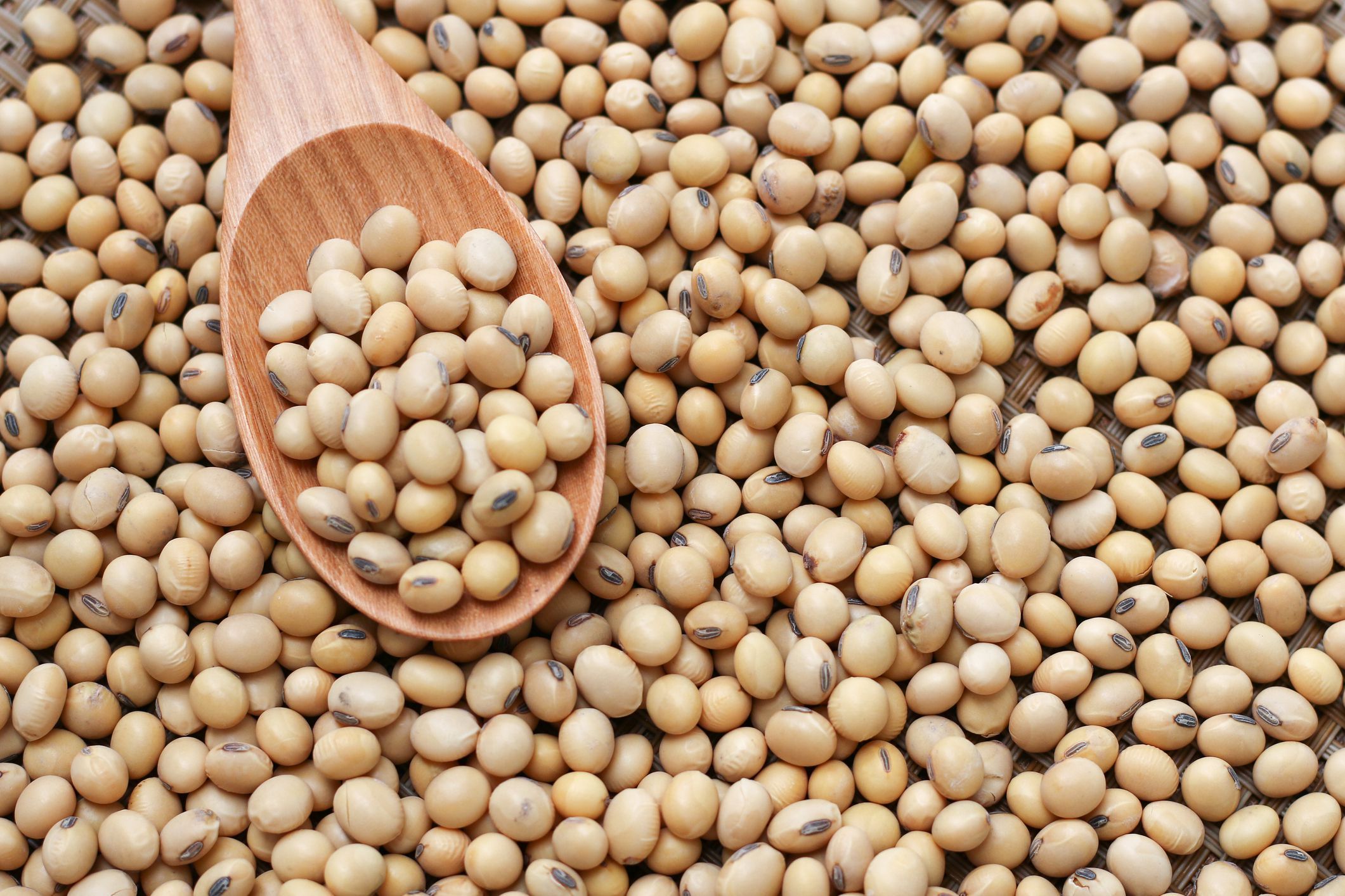 Soybeans Image