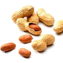 Certified Organic Peanut Image