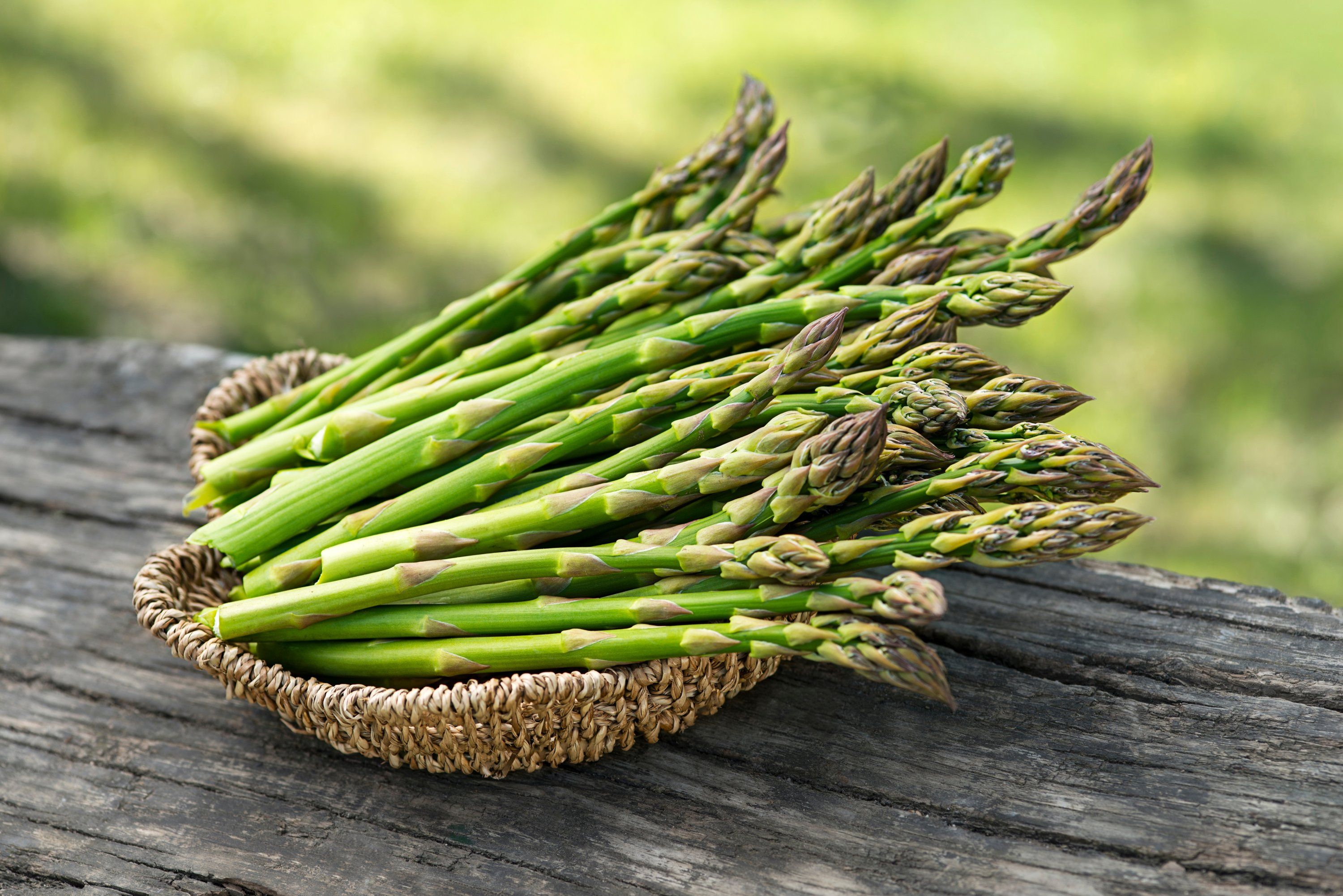 Asparagus Image