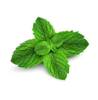 Peppermint Leaves Image