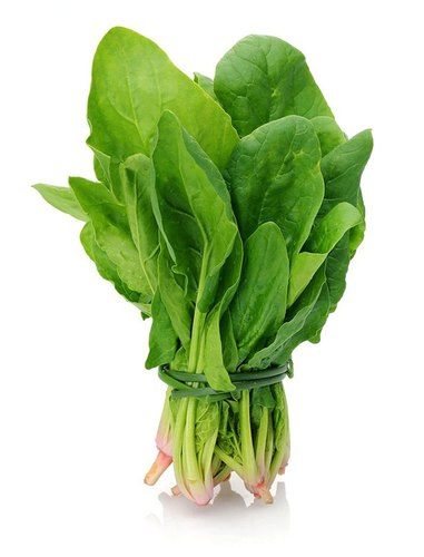 Spinach (Spinacia oleracea) Image