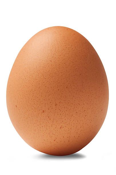 Brown Egg Image