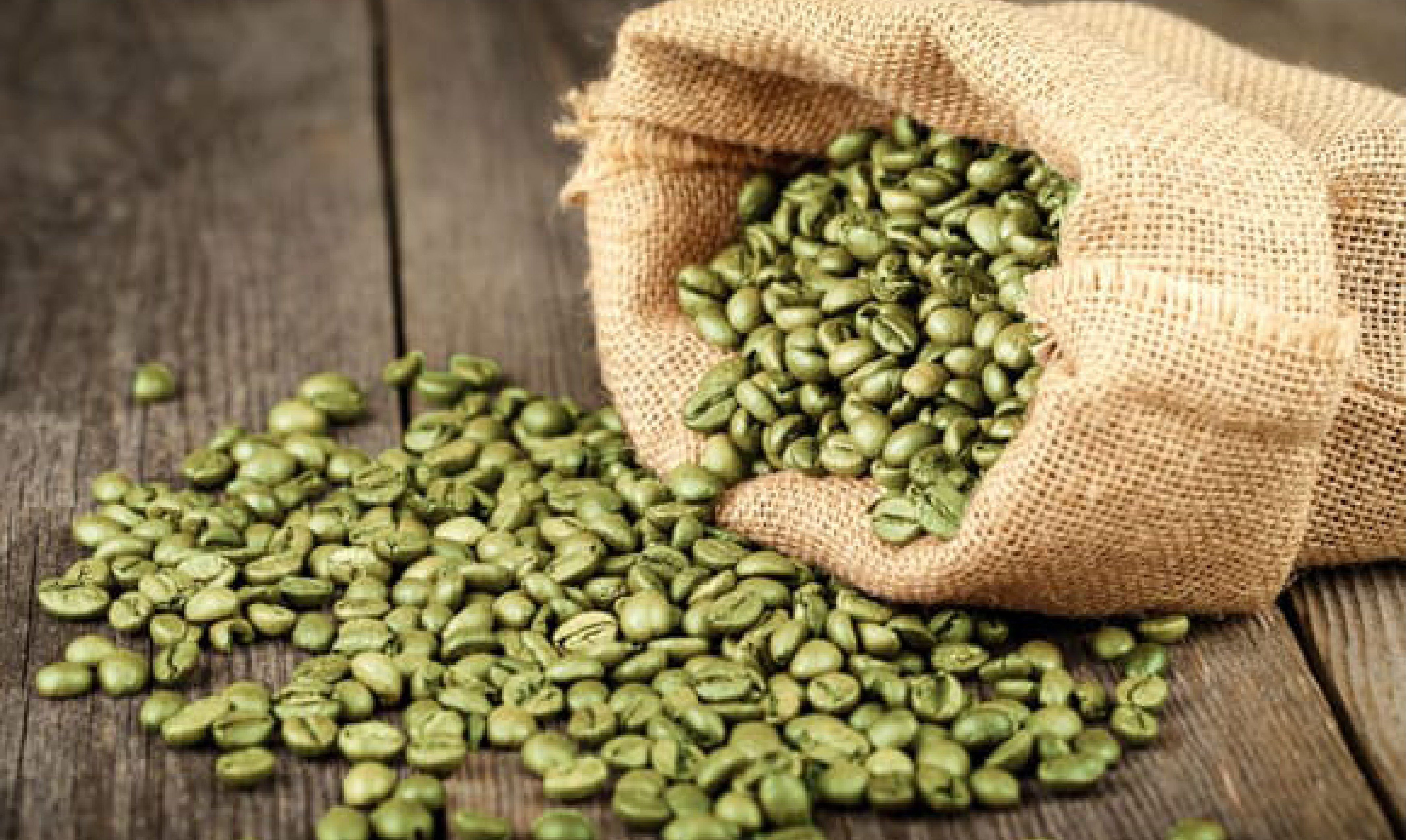 Green Coffee Beans Image