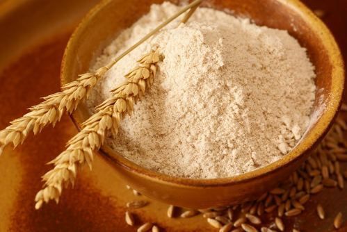 Wheat flour, atta (Triticum aestivum) Image