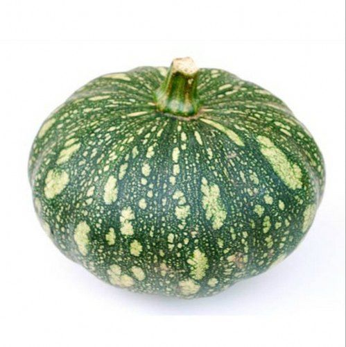 Pumpkin, green, cylindrical (Cucurbita maxima) Image