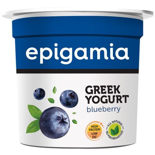 Epigamia Greek Yogurt Blueberry Image
