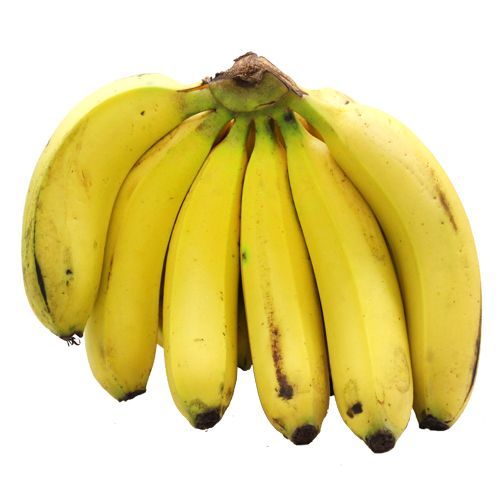 Banana, ripe, robusta (Musa x paradisiaca) Image