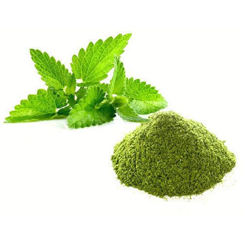 Mint Leaves Extract Image