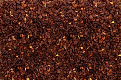Gingelly seeds, brown (Sesamum indicum) Image