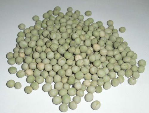 Peas, dry (Pisum sativum) Image
