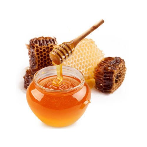 Forest Honey Image