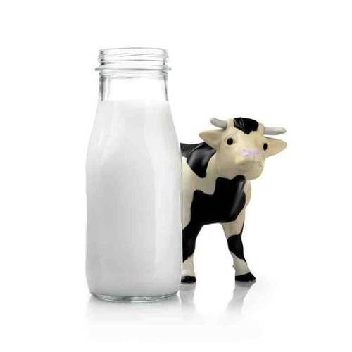 Cow First Milk Image