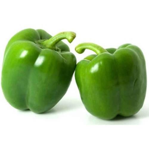 Capsicum, green (Capsicum annuum) Image