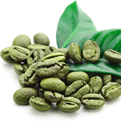 Green Coffee Bean Image