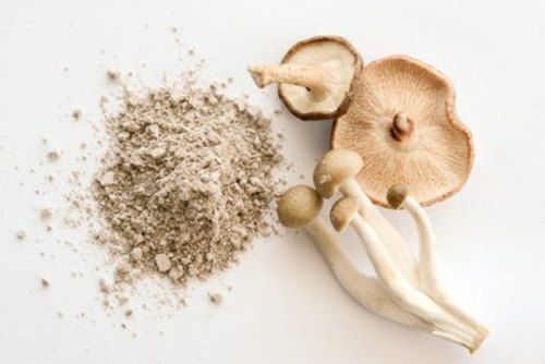Mushroom Extract Image