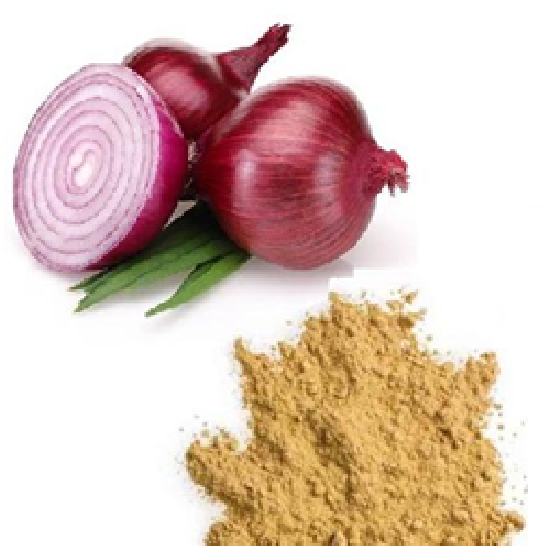 Onion Extract Image