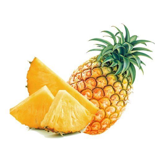 Pineapple (Ananas comosus) Image