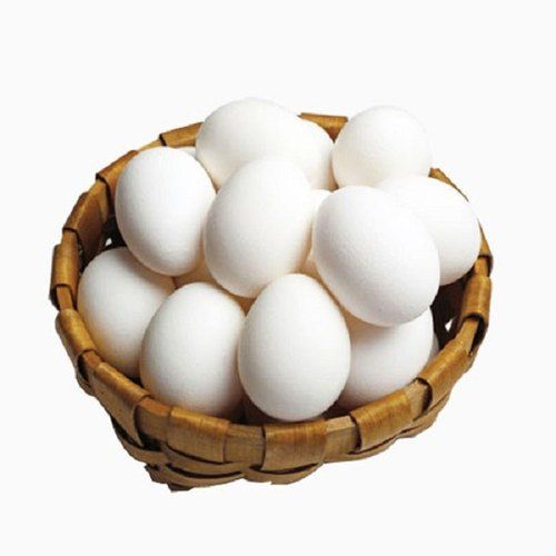 White Egg Image