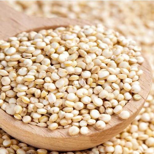 Pure White Quinoa Seeds Image