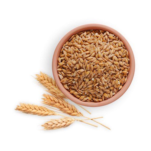 Whole Grain Wheat Image