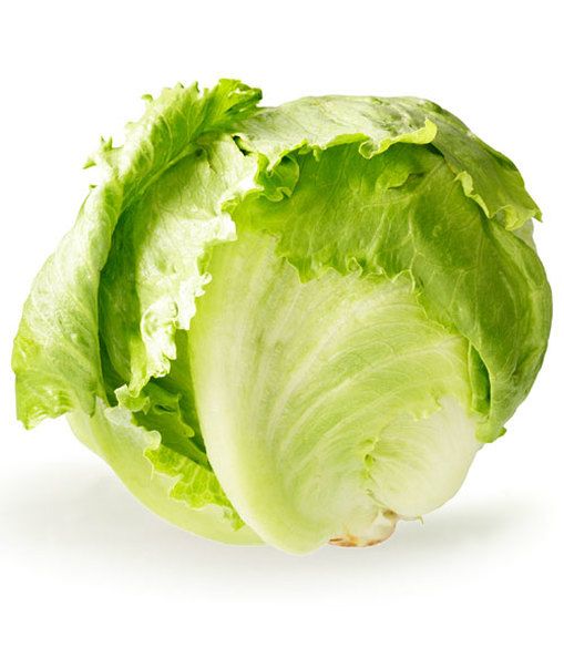 Lettuce (Lactuca sativa) Image