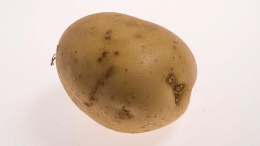 Potato, brown skin, big (Solanum tuberosum) Image