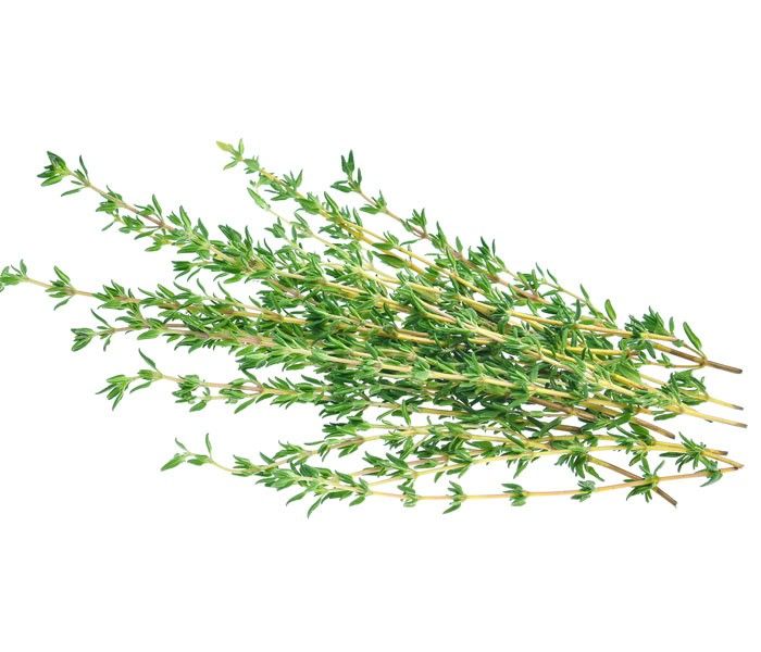 Thyme Leaves Image