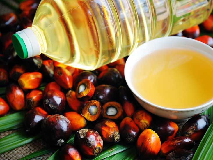 Vegetable Palm Oil Image