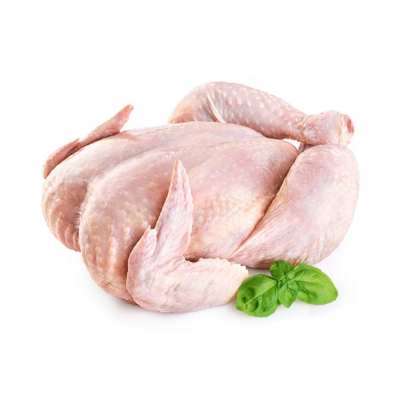 Chicken Image