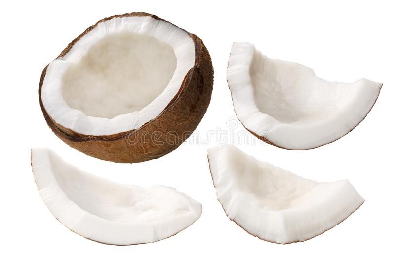 Coconut, kernal, dry (Cocos nucifera) Image