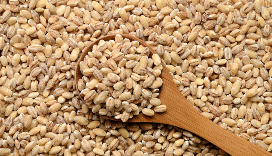 Gluten Barley Image